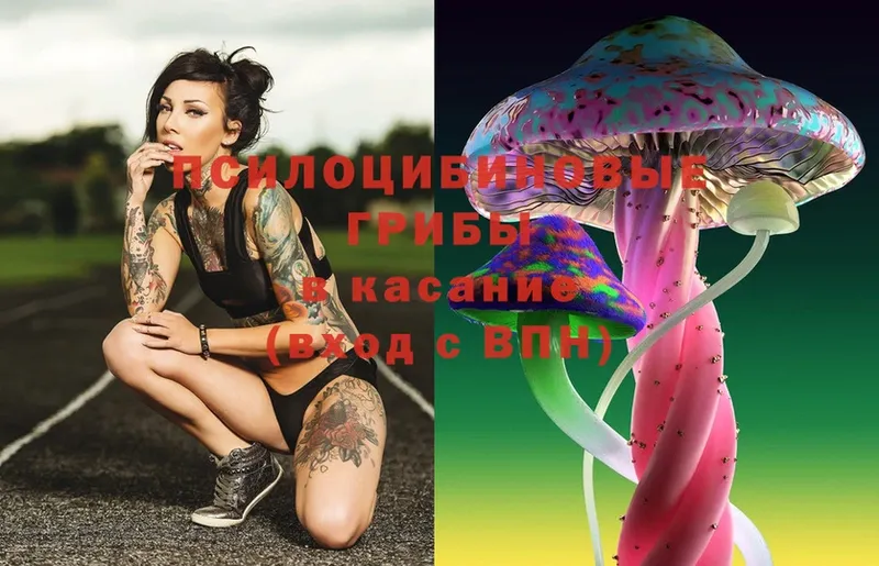 Галлюциногенные грибы Magic Shrooms  Когалым 