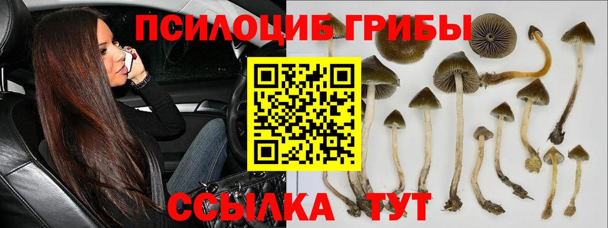 Molly  Ляпка  MDMA  Вход с VPN  Лсд 25  Мяу-Мяу  Когалым  Alpha-PVP 