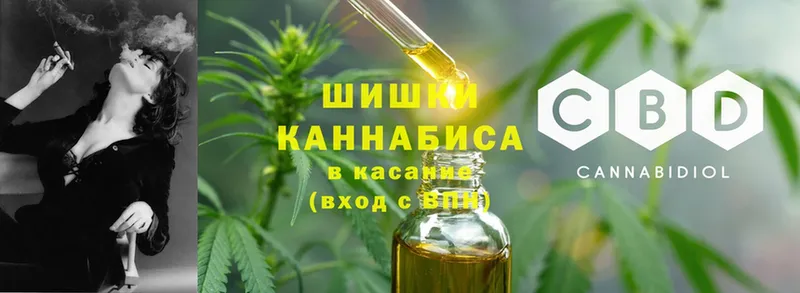 Шишки марихуана Bruce Banner  дарнет шоп  Когалым 